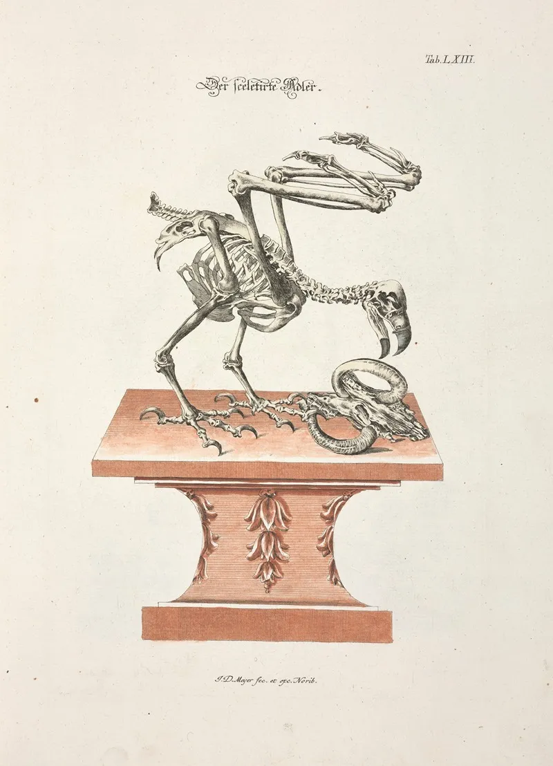 Angenehmer Und Nutzlicher Zeit Vertreib Pl 063 Wall Art by Johann Daniel Meyer - High-Resolution Digital Print
