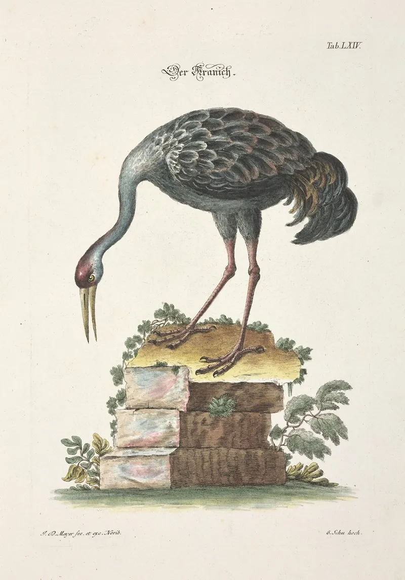 Angenehmer Und Nutzlicher Zeit Vertreib Pl 064 Wall Art by Johann Daniel Meyer - High-Resolution Digital Print