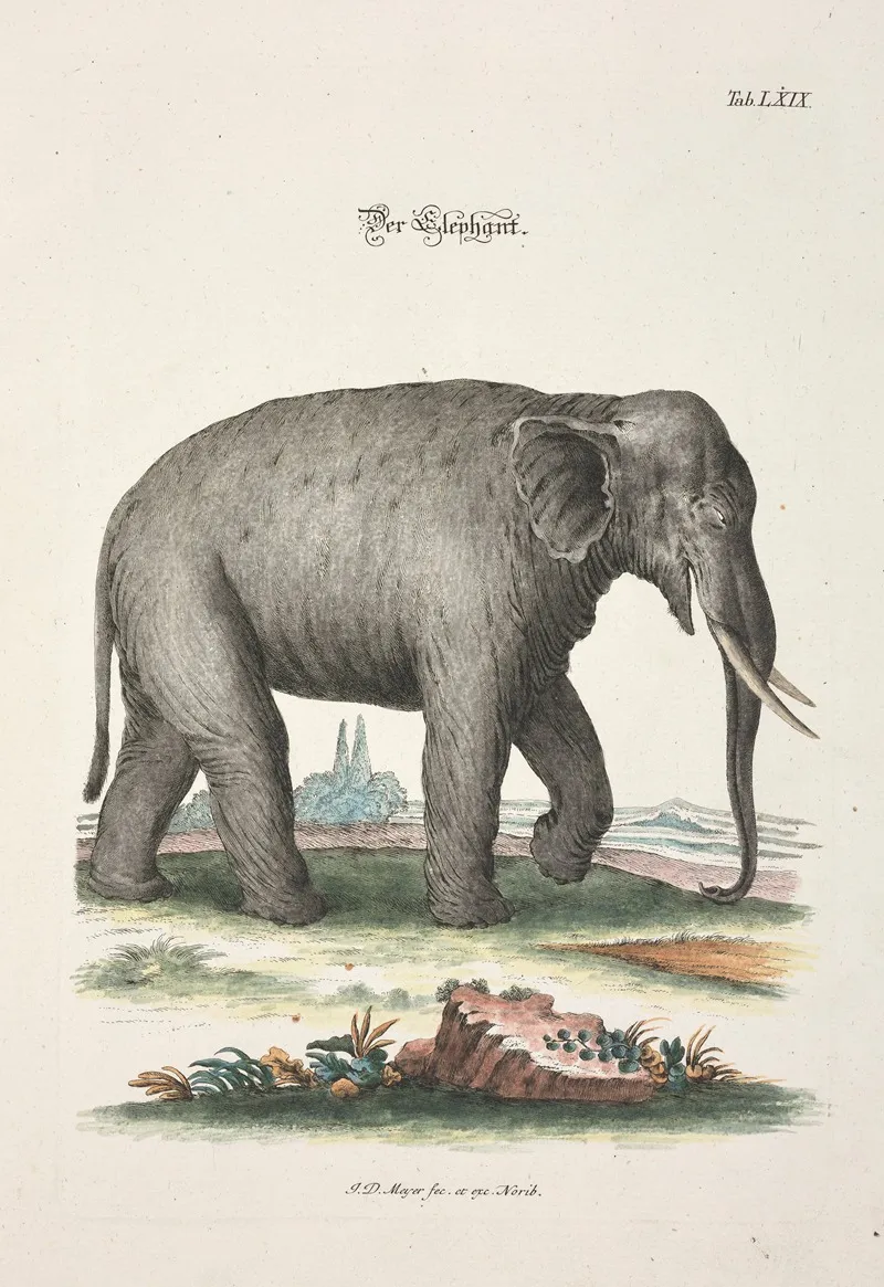Angenehmer Und Nutzlicher Zeit Vertreib Pl 069 Wall Art by Johann Daniel Meyer - High-Resolution Digital Print