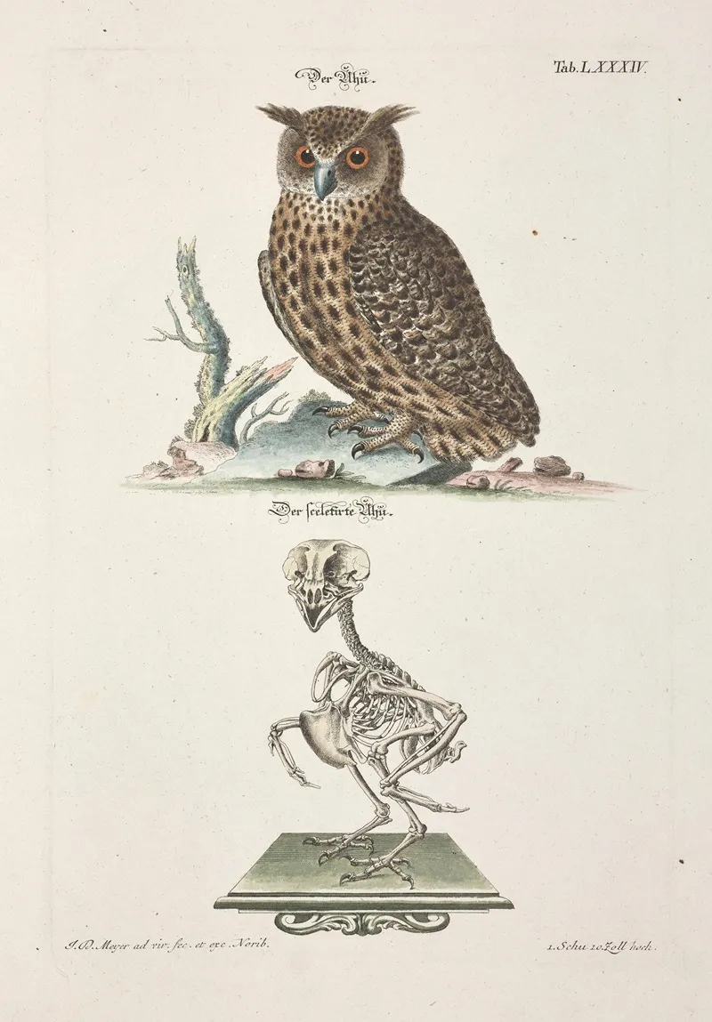 Angenehmer Und Nutzlicher Zeit Vertreib Pl 084 Wall Art by Johann Daniel Meyer - High-Resolution Digital Print
