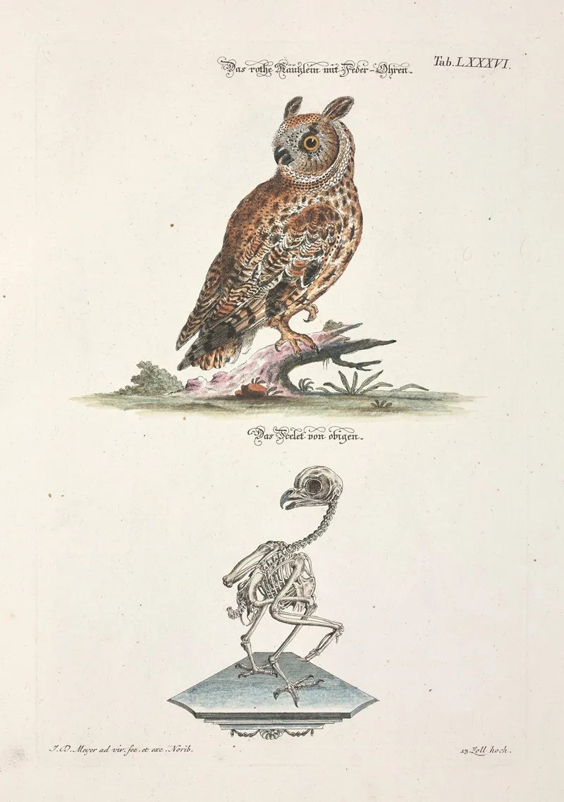 Angenehmer Und Nutzlicher Zeit Vertreib Pl 086 Wall Art by Johann Daniel Meyer - High-Resolution Digital Print