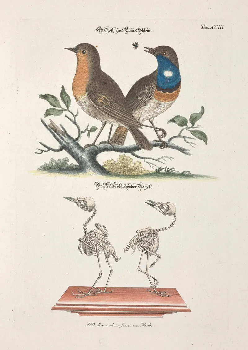 Angenehmer Und Nutzlicher Zeit Vertreib Pl 093 Wall Art by Johann Daniel Meyer - High-Resolution Digital Print