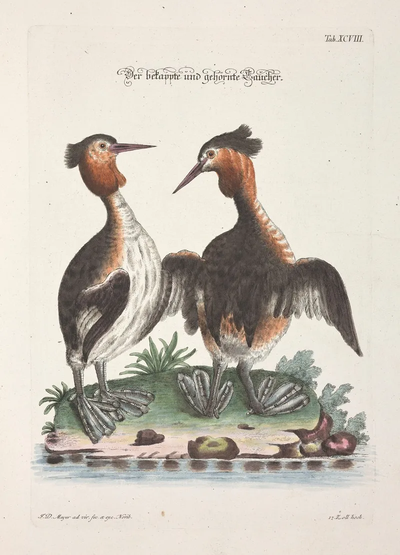 Angenehmer Und Nutzlicher Zeit Vertreib Pl 098 Wall Art by Johann Daniel Meyer - High-Resolution Digital Print