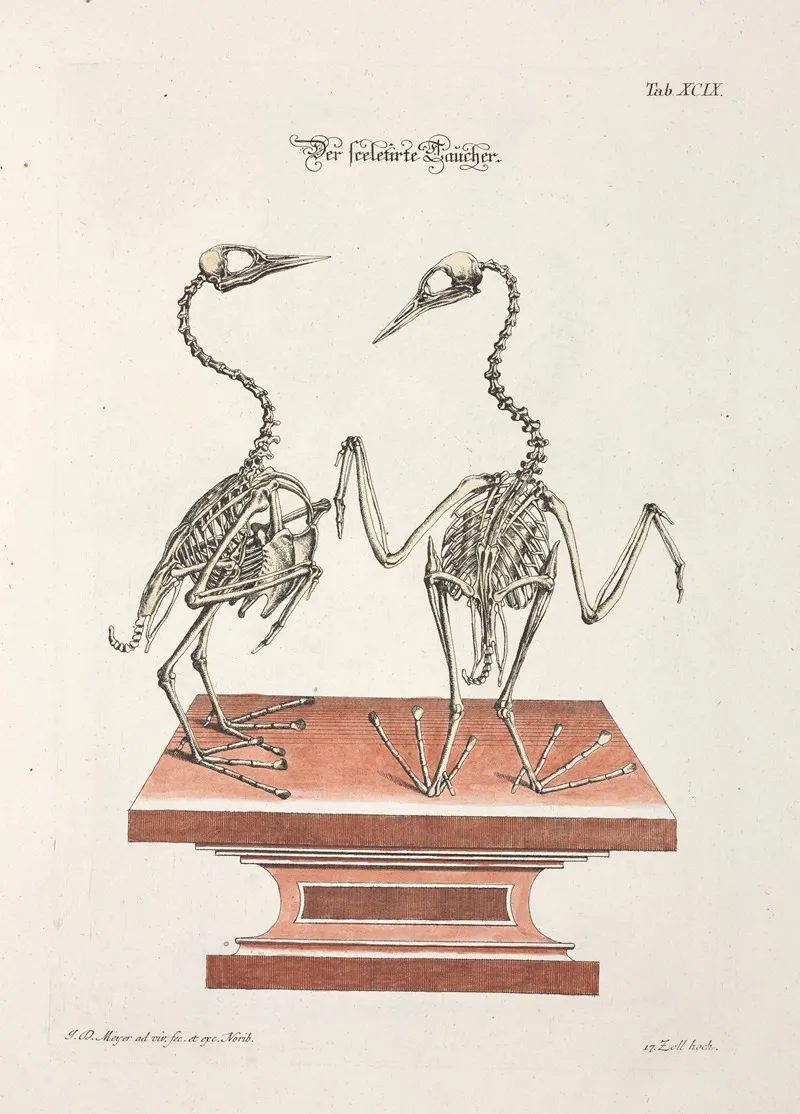 Angenehmer Und Nutzlicher Zeit Vertreib Pl 099 Wall Art by Johann Daniel Meyer - High-Resolution Digital Print