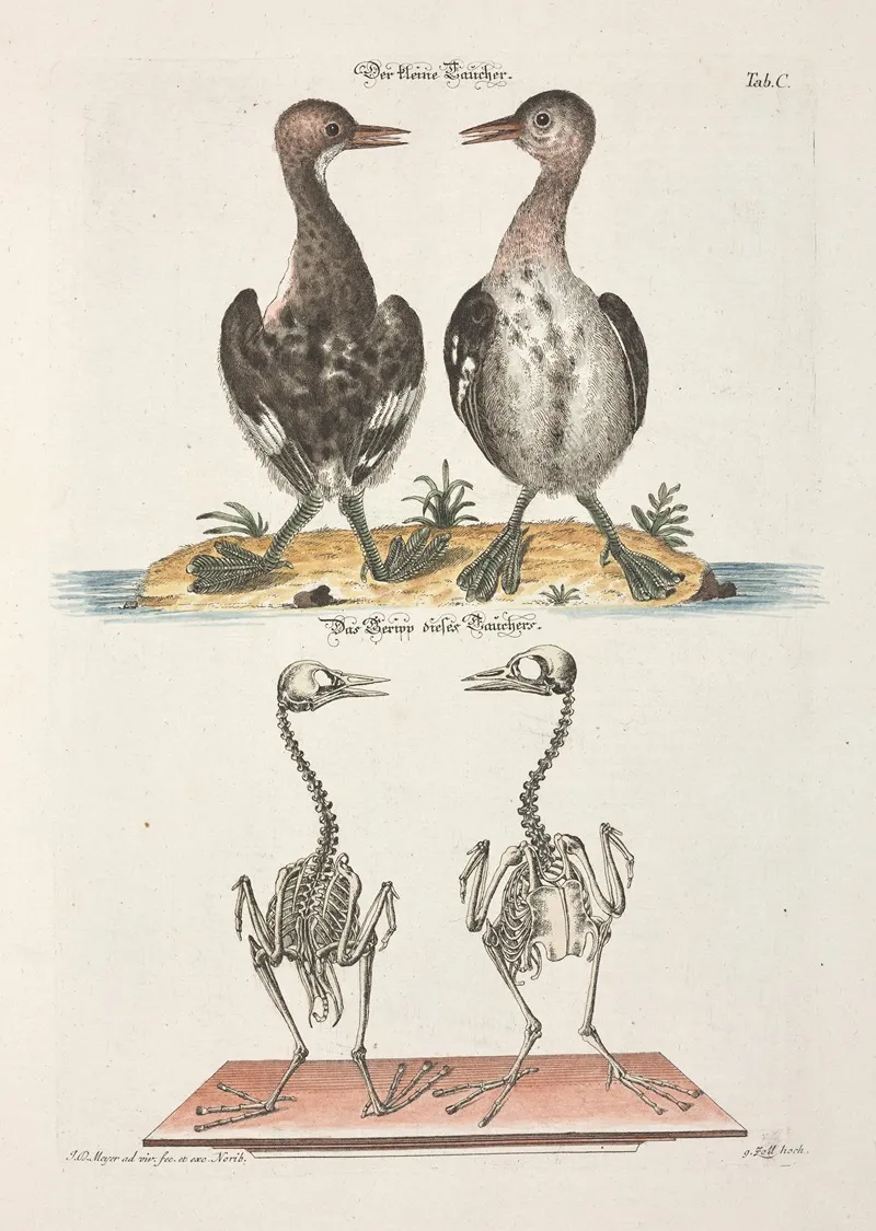 Angenehmer Und Nutzlicher Zeit Vertreib Pl 100 Wall Art by Johann Daniel Meyer - High-Resolution Digital Print
