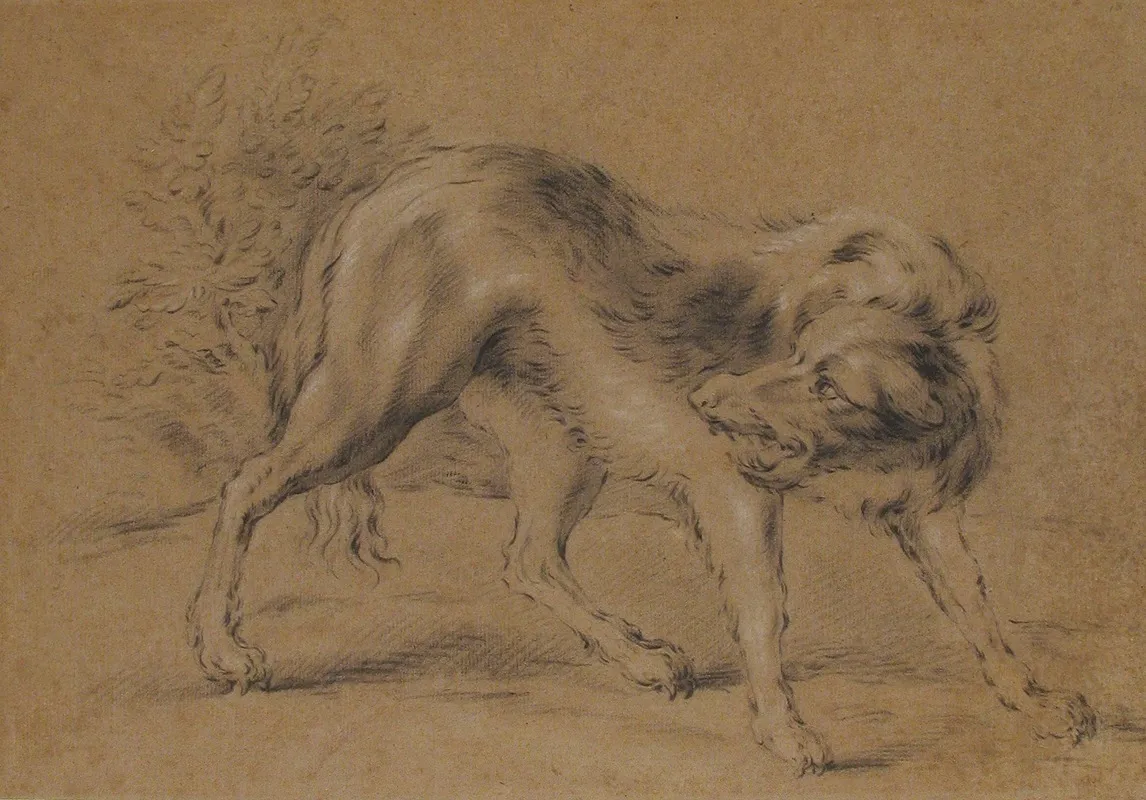 Angry Dog