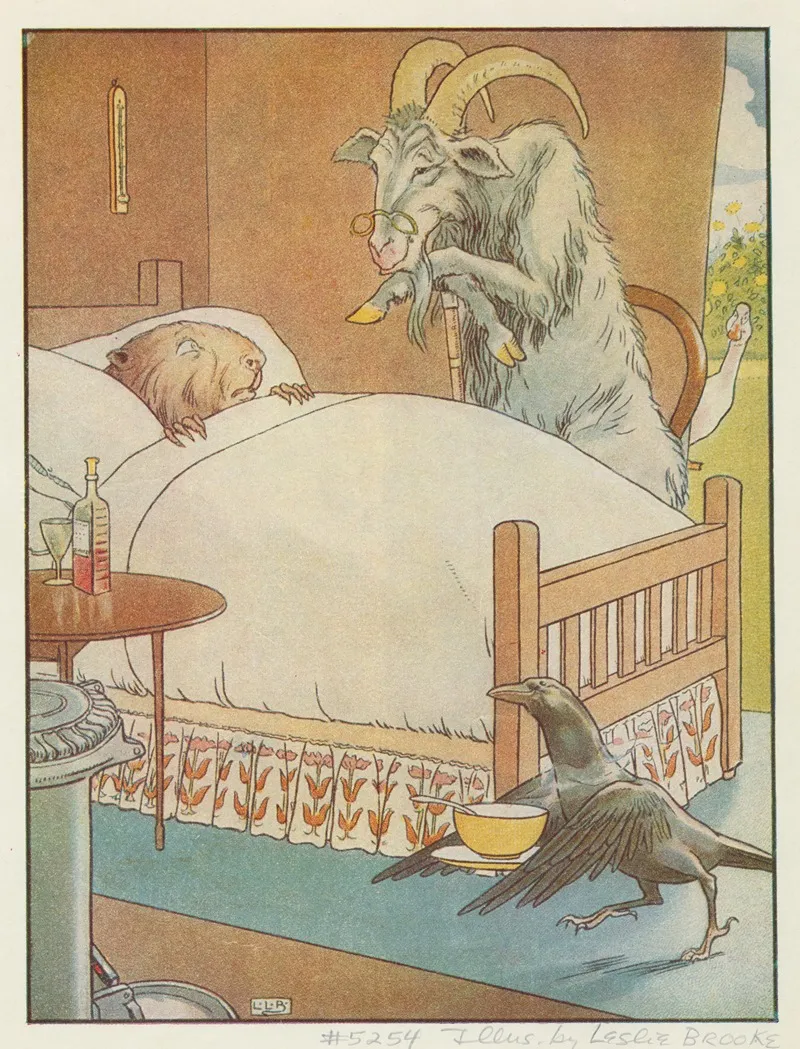 Animals As Humans