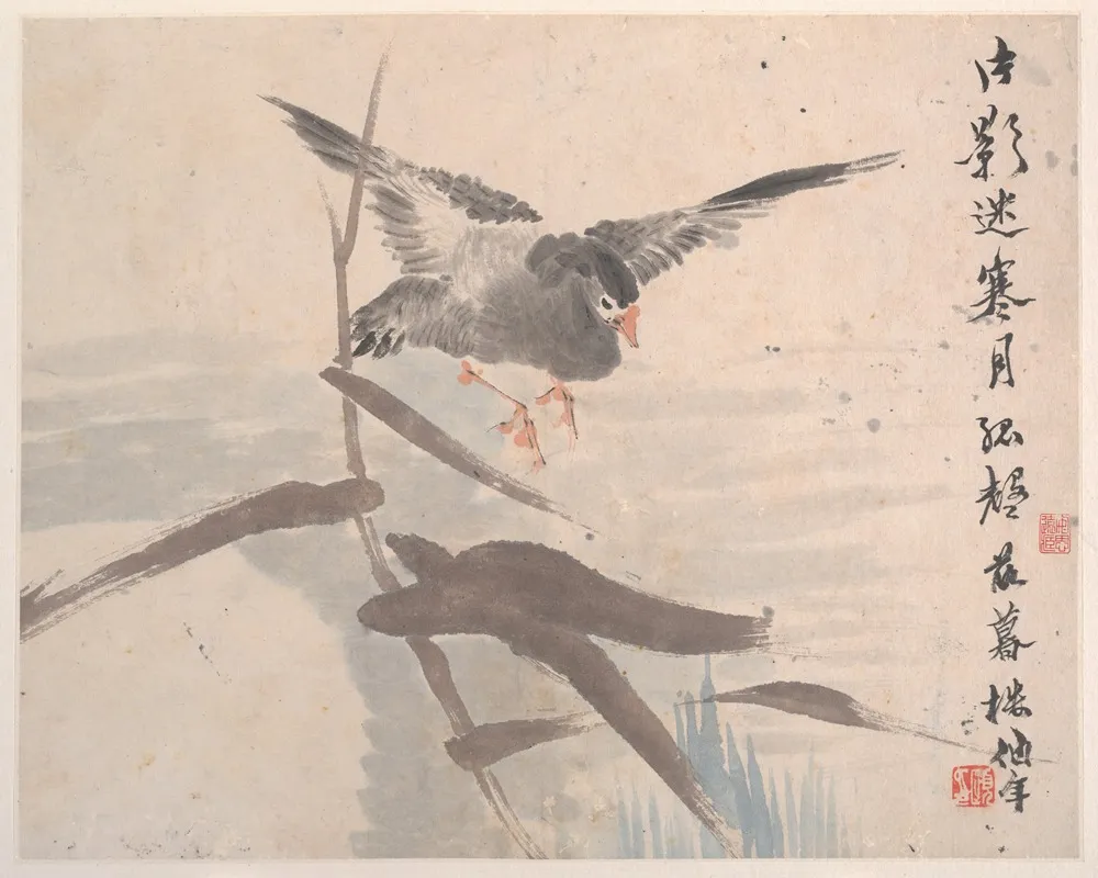 Animals Flowers And Birds Pl 8 Wall Art by Ren Yi - High-Resolution Digital Print