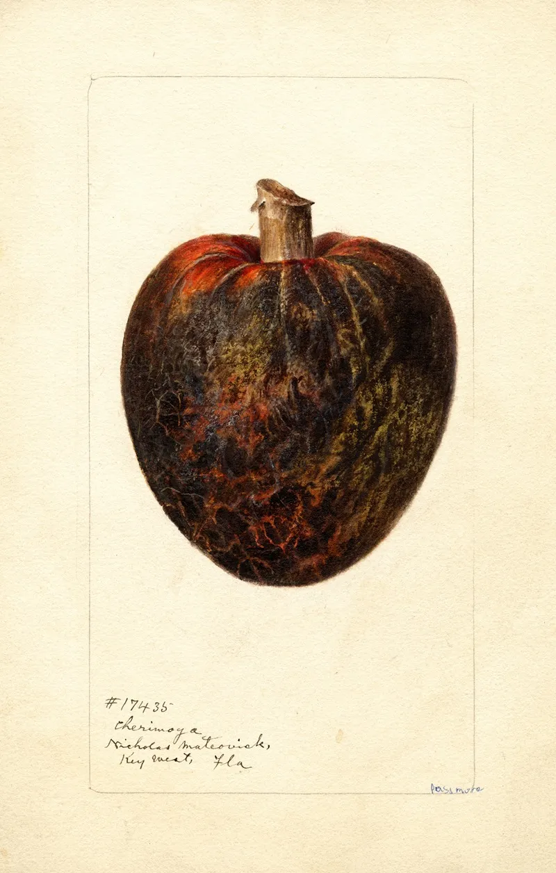 Annona Cherimola 2 Wall Art by Deborah Griscom Passmore - High-Resolution Digital Print