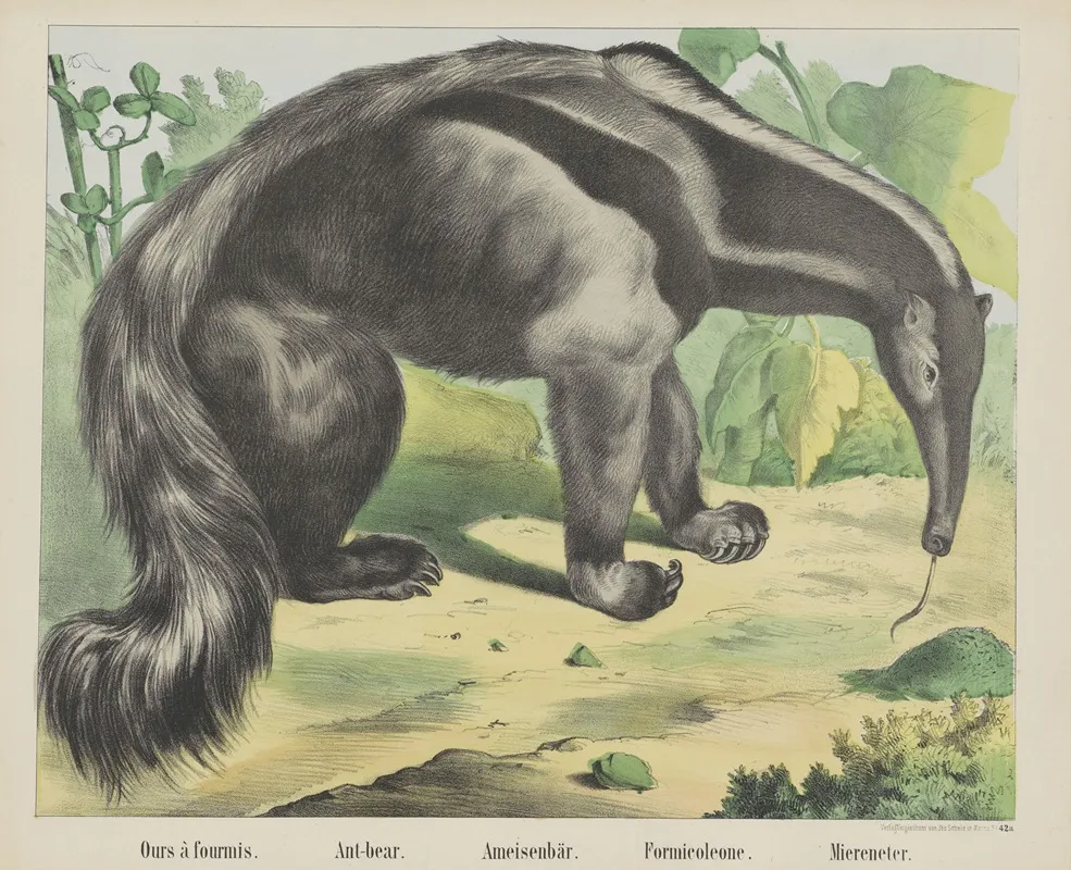 Ant Bear 2 Wall Art by Joseph Scholz - High-Resolution Digital Print