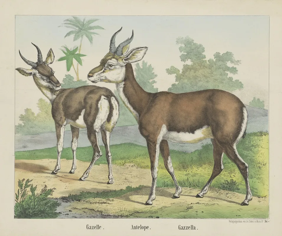 Antelope 2 Wall Art by Joseph Scholz - High-Resolution Digital Print