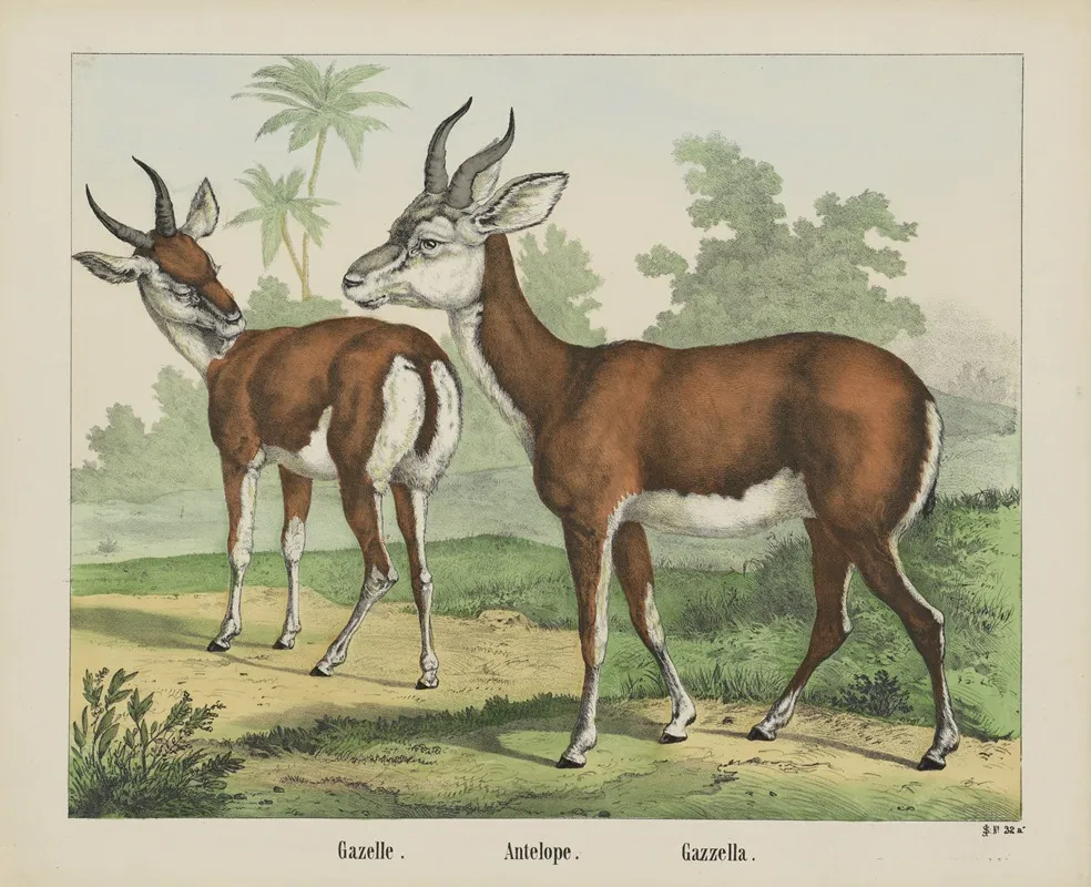 Antelope Wall Art by Joseph Scholz - High-Resolution Digital Print