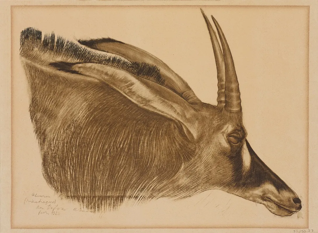 Antilope Hippotrague Wall Art by Alexandre Jacovleff - High-Resolution Digital Print