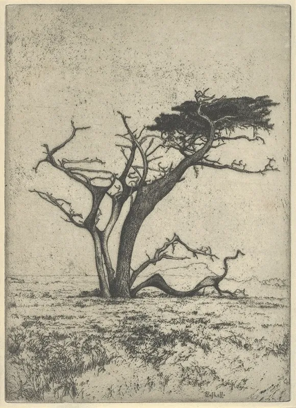 Antlers