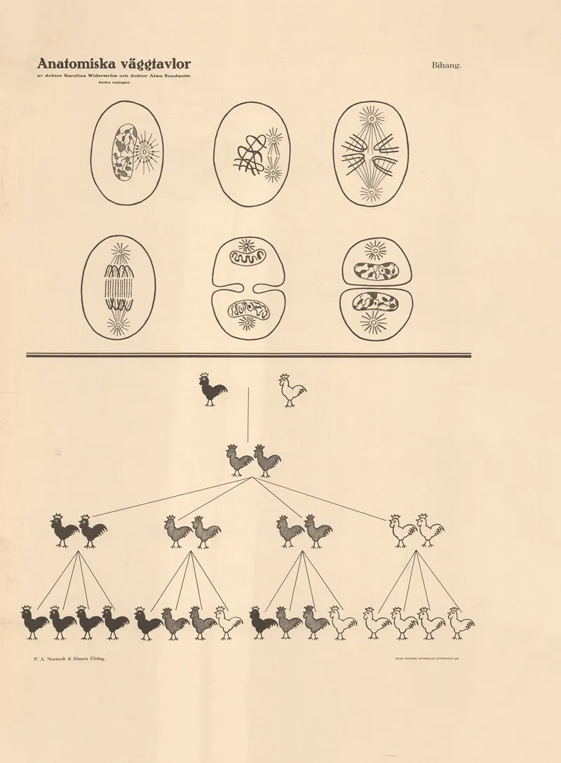 Appendix To Cell Division And Mendelian Segregation Wall Art by Karolina Widerström - High-Resolution Digital Print