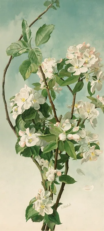 Apple Blossoms 2 Wall Art by Thaddeus Welch - High-Resolution Digital Print