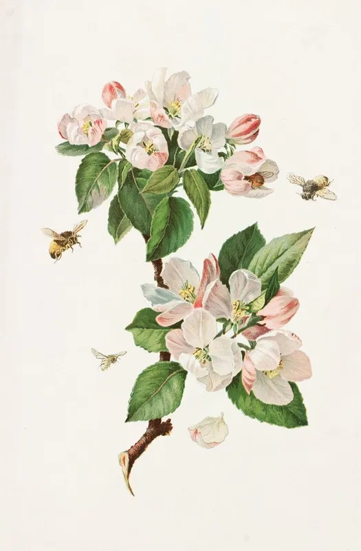 Apple Blossoms And Bees Wall Art by Alois Lunzer - High-Resolution Digital Print