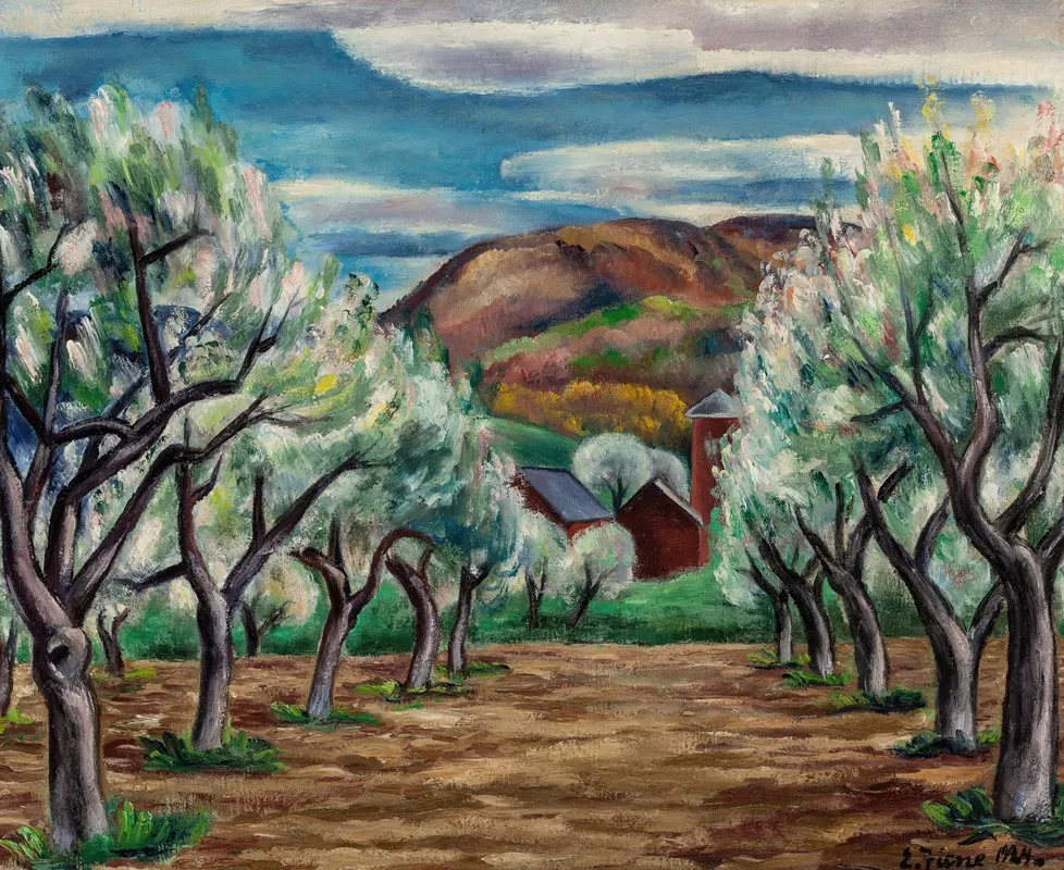 Apple Orchard