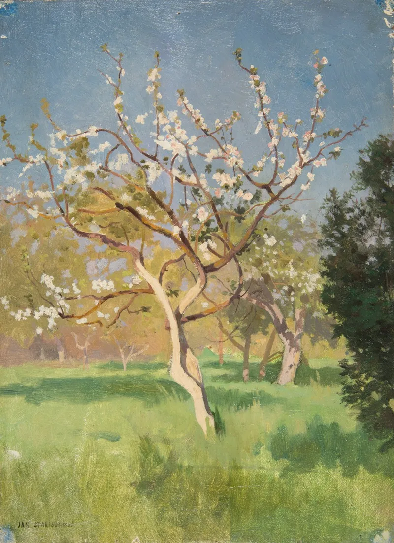Apple Tree In Blossom 3