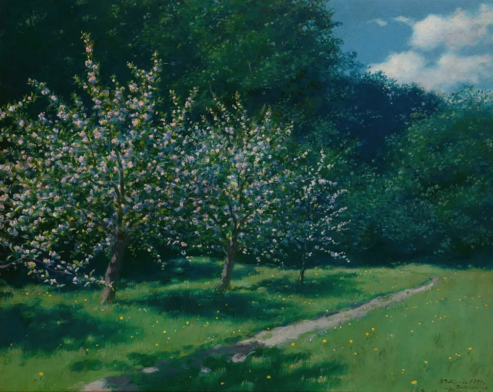 Apple Trees In Bloom