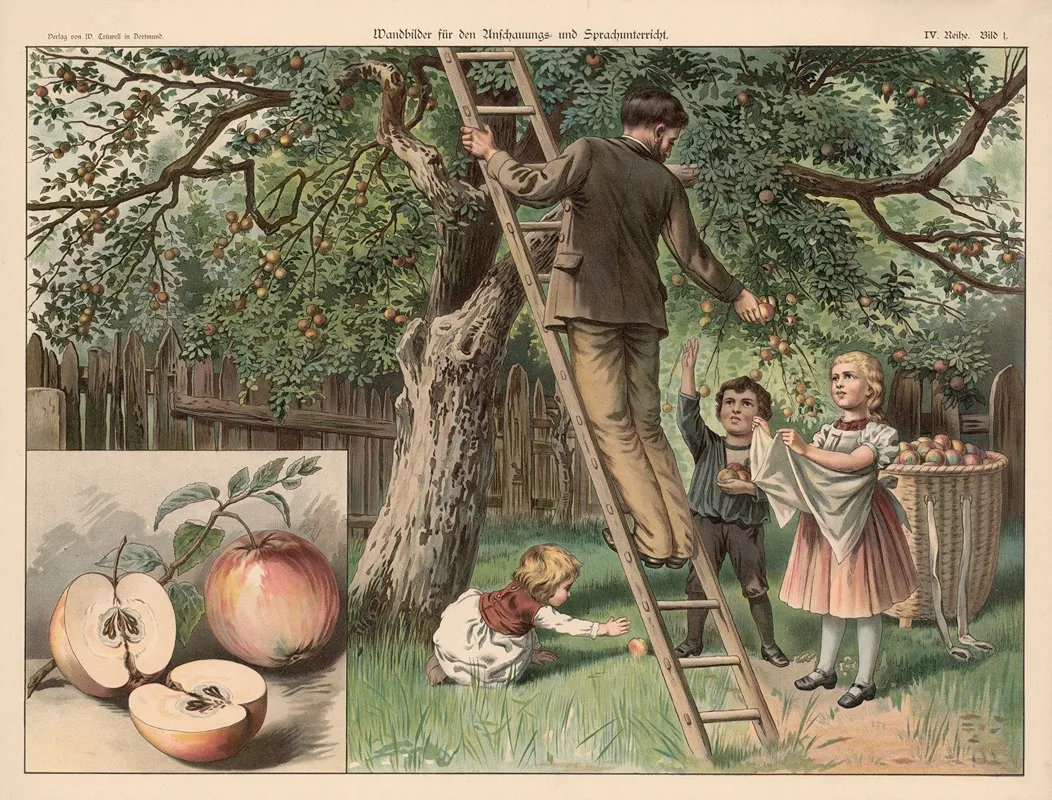 Apple Wall Art by W. Crüwell - High-Resolution Digital Print