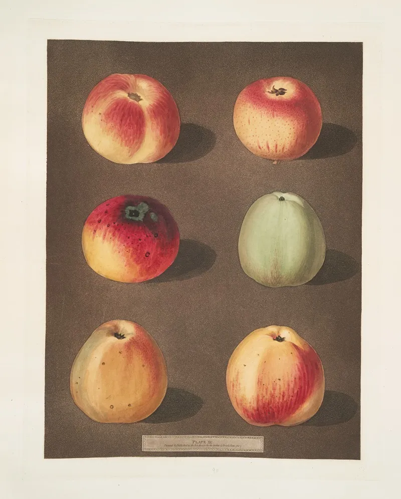 Apples Striped Holland Pippin Marygold Sullenworth Rennet Saint Germain Watkins Large Dumpling And The Beauty Of Kent Or The Flower Of Kent Varities Wall Art by George Brookshaw - High-Resolution Digital Print