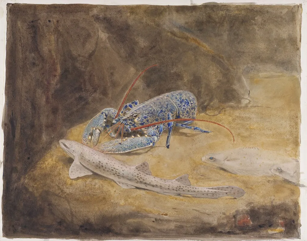 Aquarium Met Drie Noordzee Vissen Zeekreeft Hondshaai En Schol 2 Wall Art by Gerrit Willem Dijsselhof - High-Resolution Digital Print