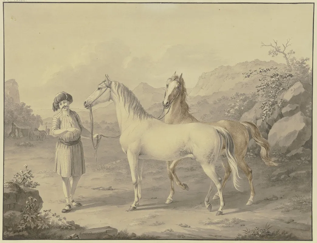 Arabian Horses