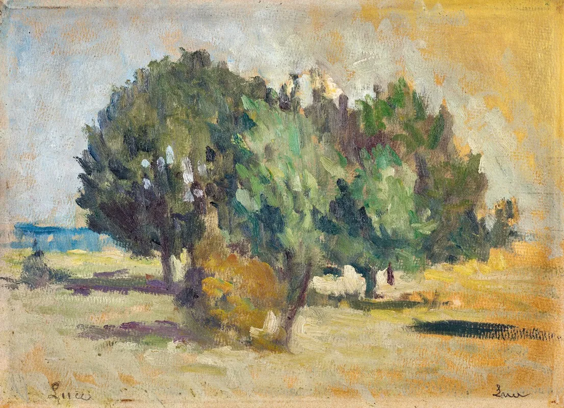 Arbres Dans Un Paysage