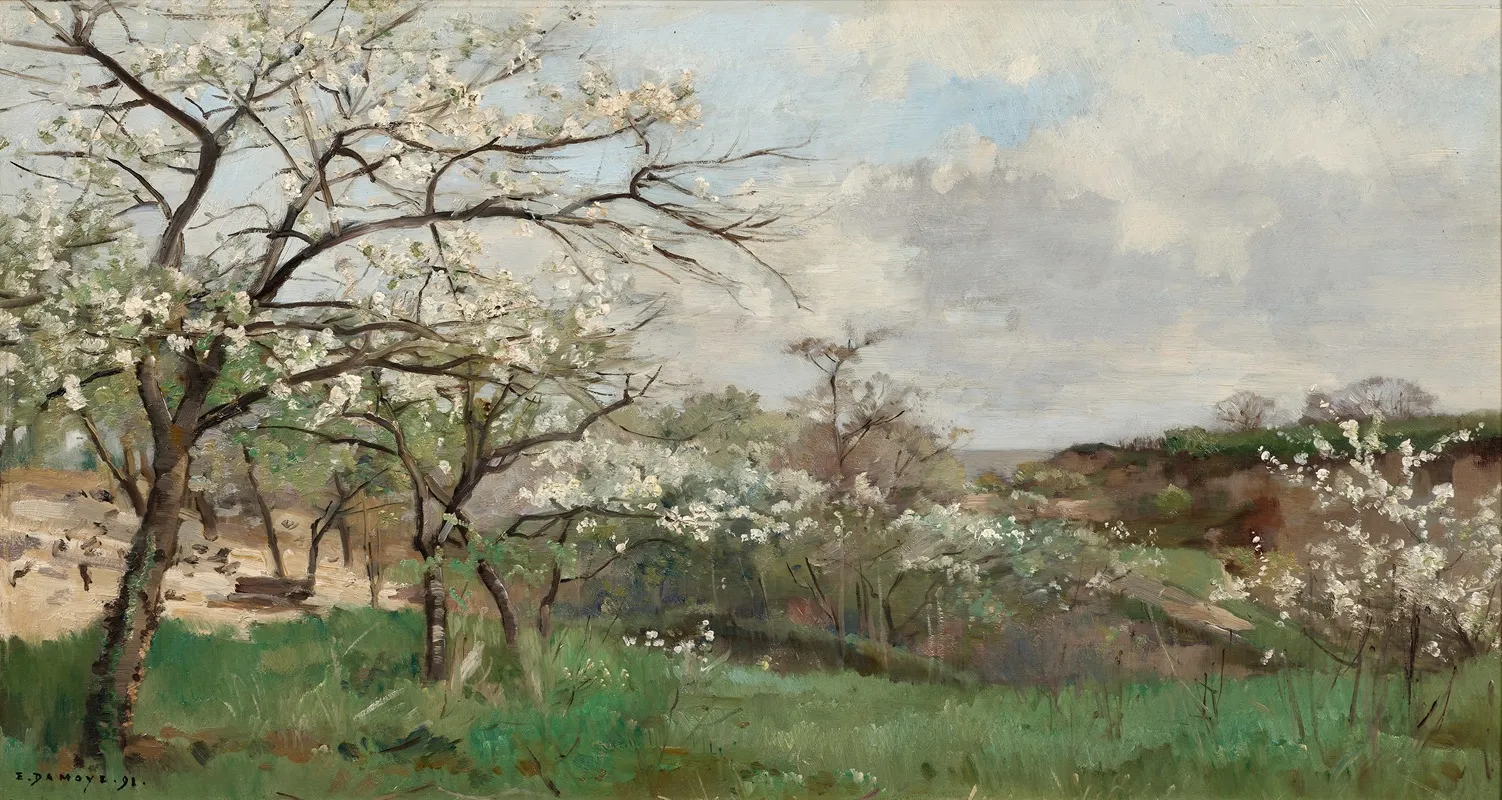 Arbres En Fleurs