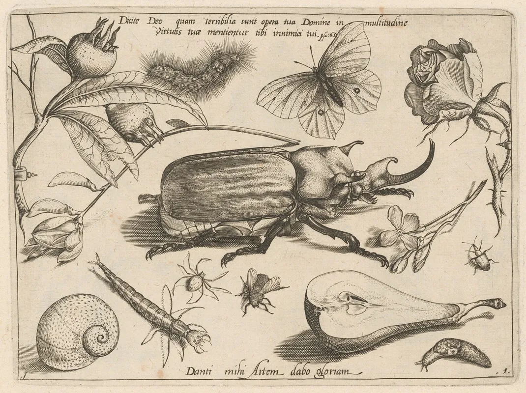 Archetypa Studiaque Patris Georgii Hoefnagelii Pl 01