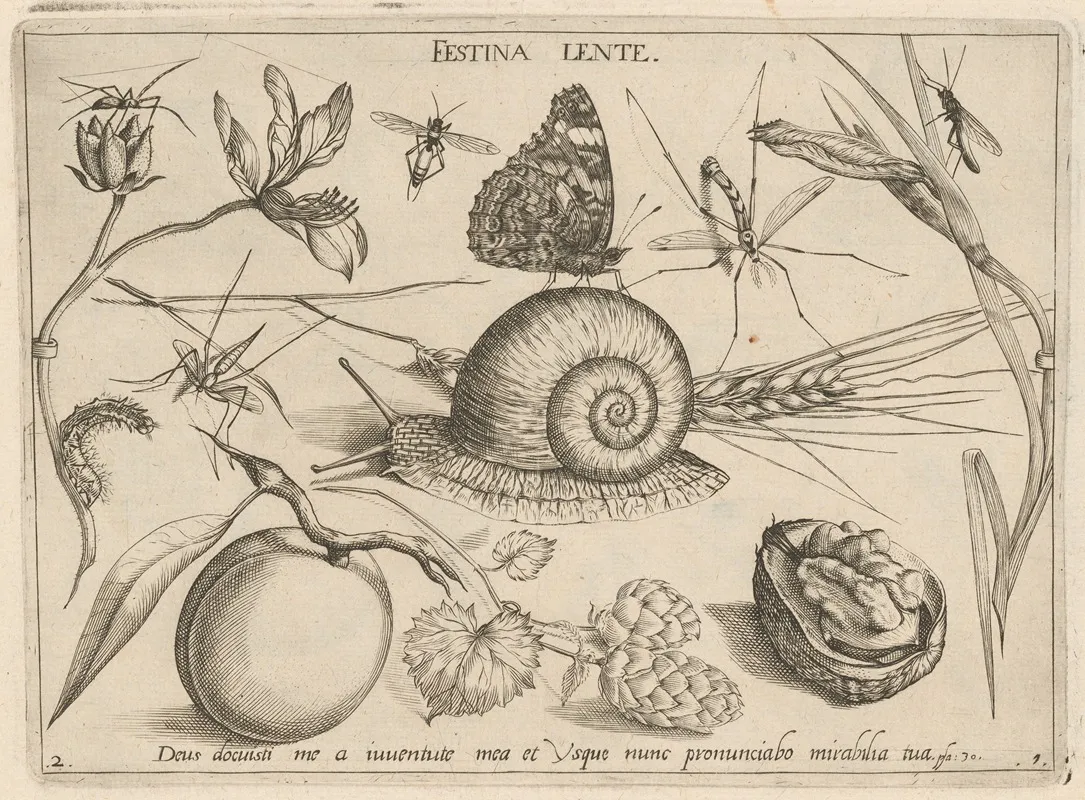 Archetypa Studiaque Patris Georgii Hoefnagelii Pl 05