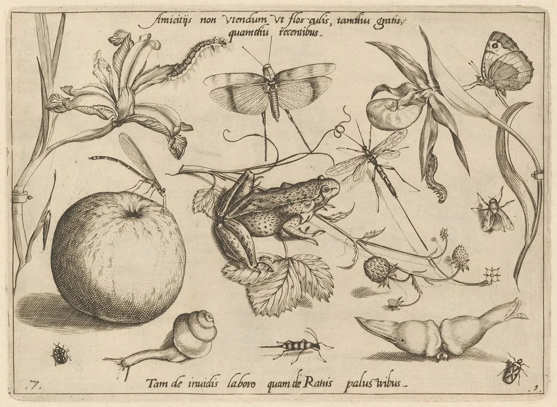 Archetypa Studiaque Patris Georgii Hoefnagelii Pl 09