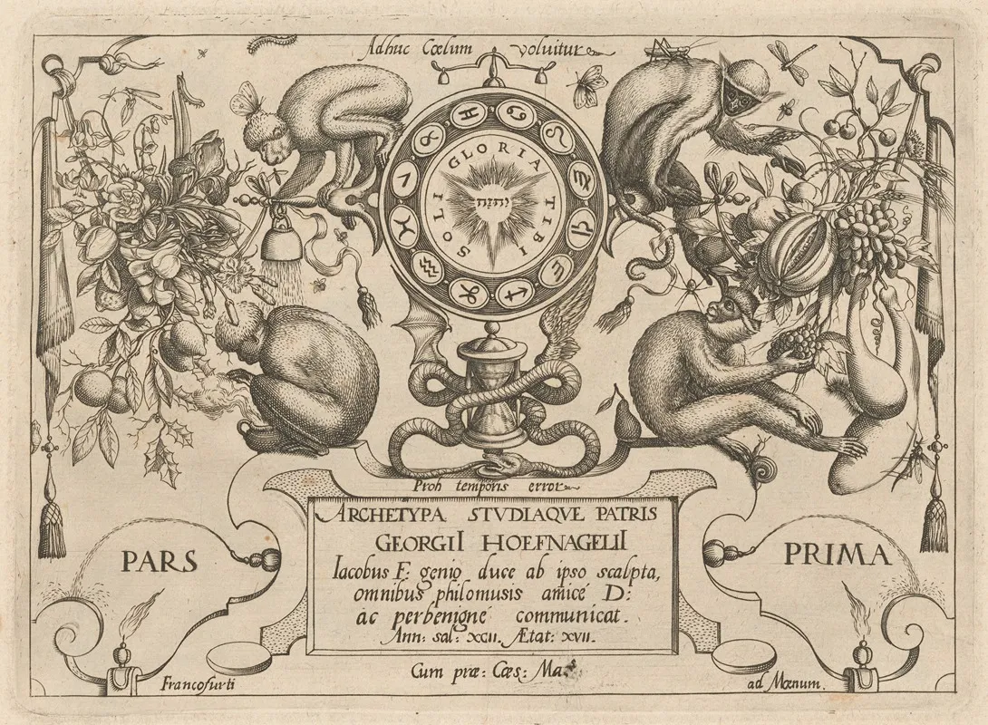 Archetypa Studiaque Patris Georgii Hoefnagelii Pl 12
