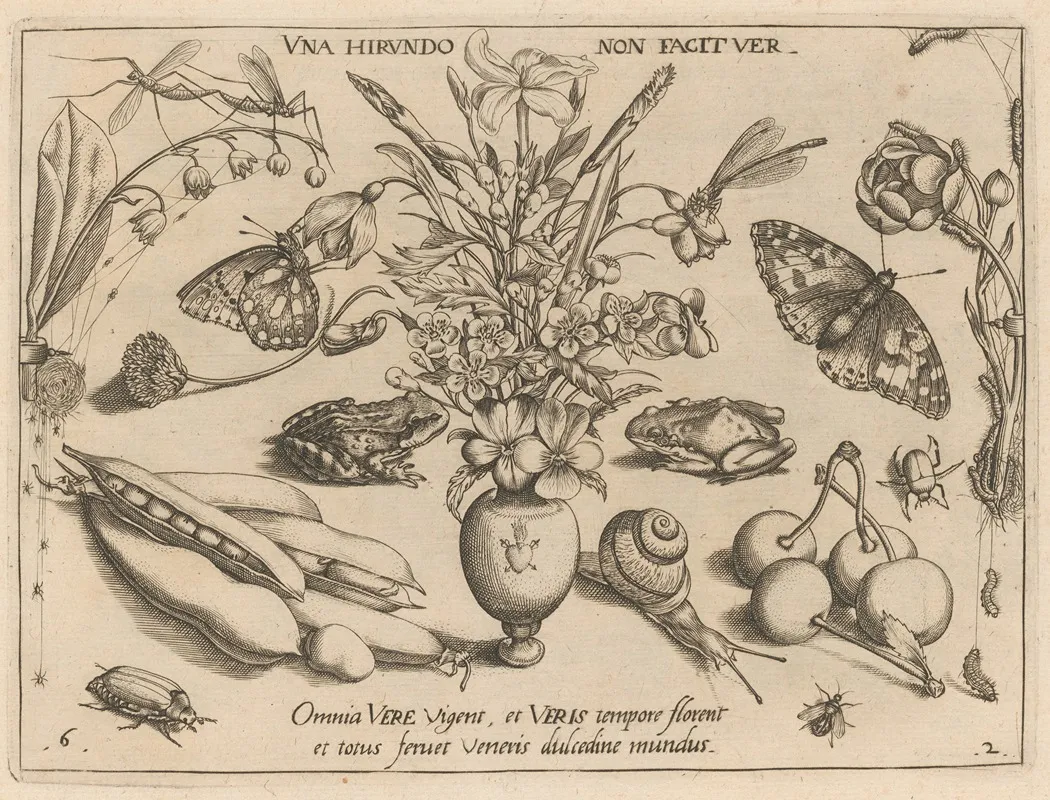 Archetypa Studiaque Patris Georgii Hoefnagelii Pl 21