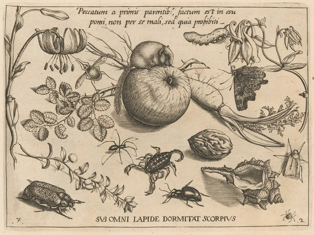 Archetypa Studiaque Patris Georgii Hoefnagelii Pl 22