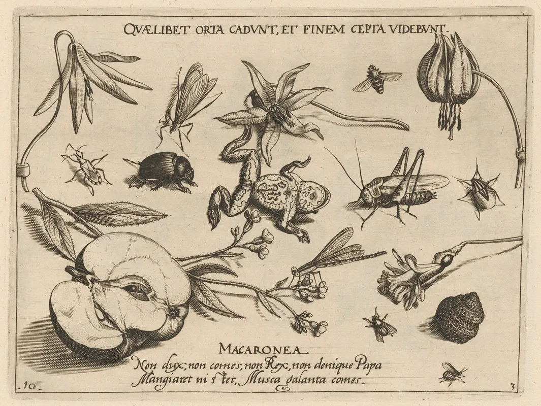Archetypa Studiaque Patris Georgii Hoefnagelii Pl 27