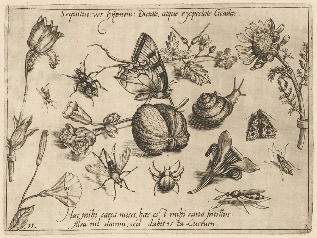 Archetypa Studiaque Patris Georgii Hoefnagelii Pl 28
