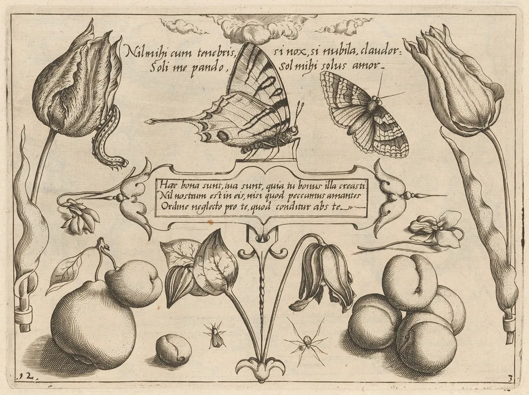 Archetypa Studiaque Patris Georgii Hoefnagelii Pl 29
