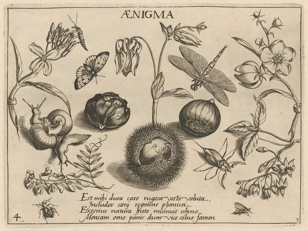 Archetypa Studiaque Patris Georgii Hoefnagelii Pl 32