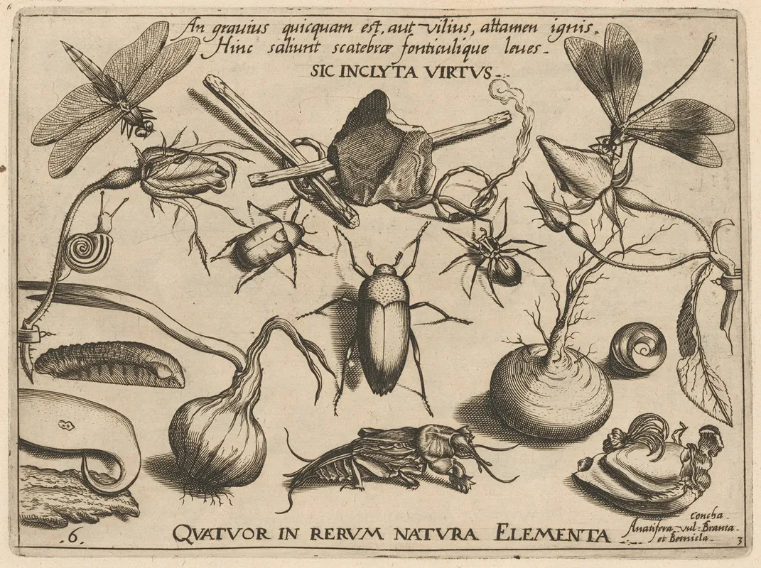 Archetypa Studiaque Patris Georgii Hoefnagelii Pl 34