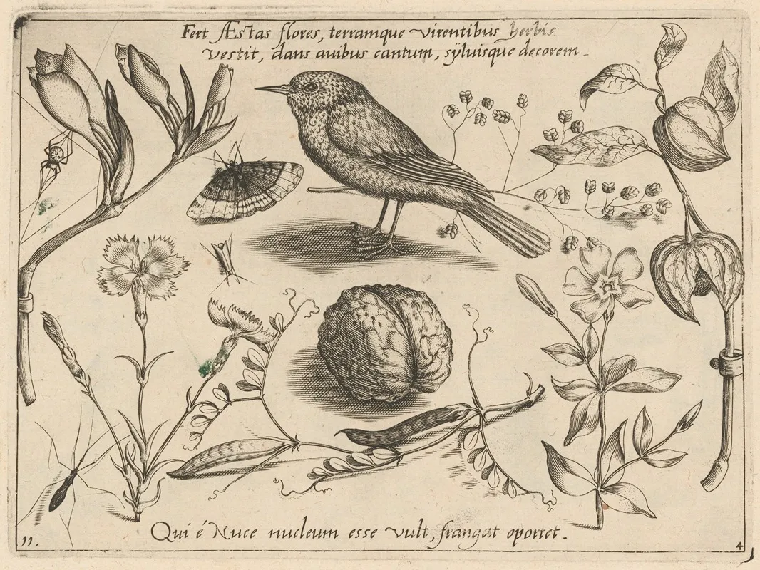 Archetypa Studiaque Patris Georgii Hoefnagelii Pl 41