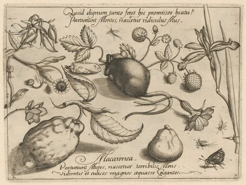 Archetypa Studiaque Patris Georgii Hoefnagelii Pl 43