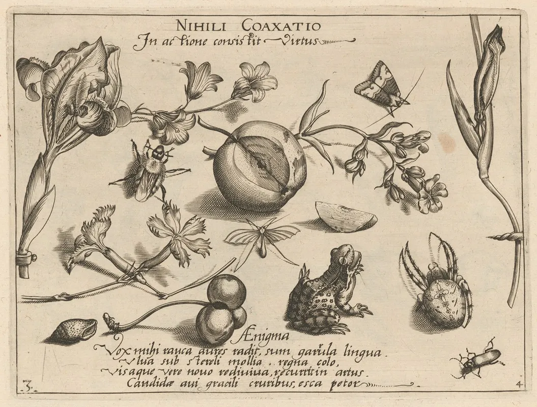 Archetypa Studiaque Patris Georgii Hoefnagelii Pl 44