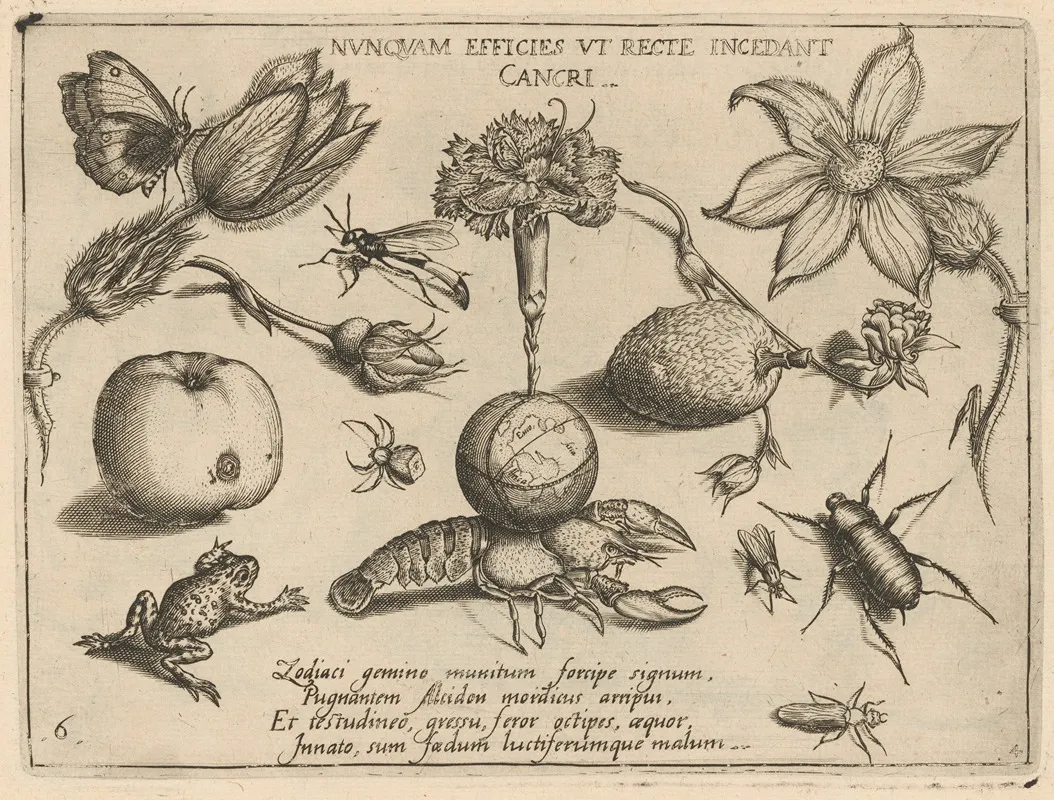 Archetypa Studiaque Patris Georgii Hoefnagelii Pl 47