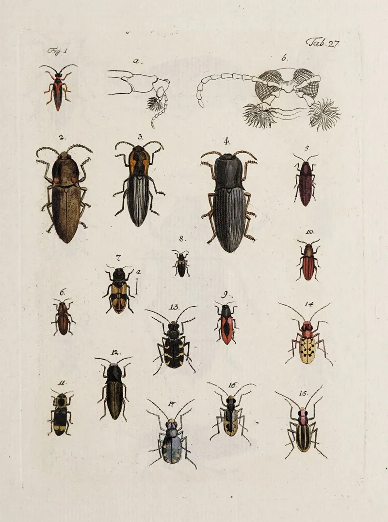 Archives De Lhistoire Des Insectes Pl 28 Wall Art by Johann Caspar Fuessli - High-Resolution Digital Print