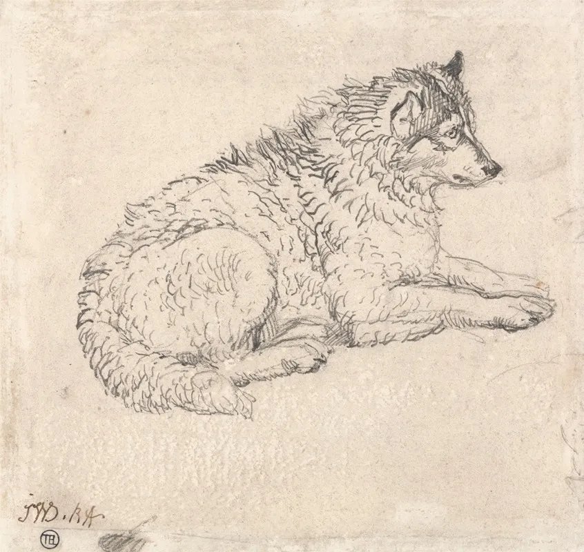 Arctic Dog Facing Right Wall Art by James Ward - High-Resolution Digital Print