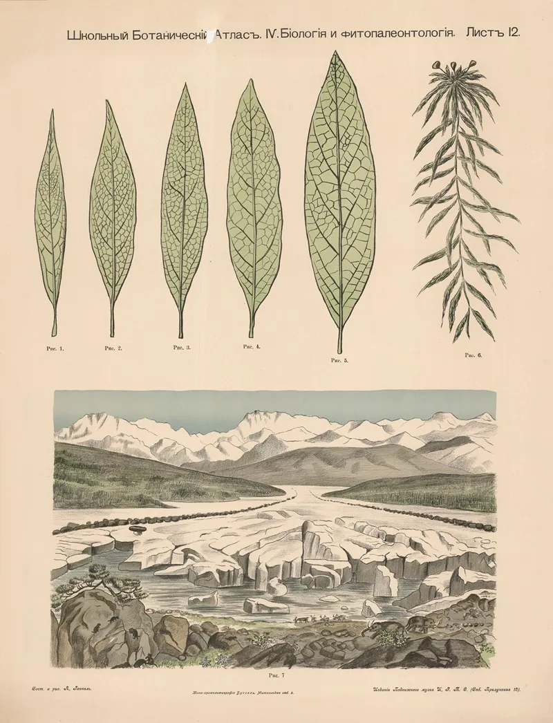 Arctic Plants Wall Art by Alexander-Paul Henckel - High-Resolution Digital Print