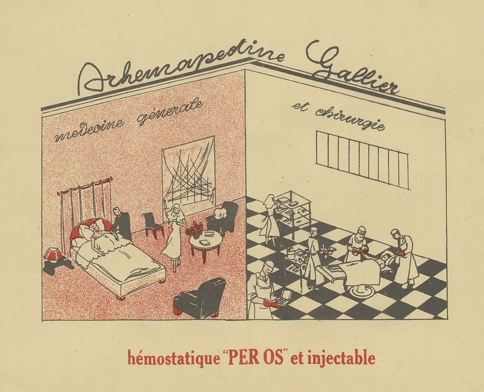 Arhemapectine Gallier Wall Art by Laboratoire R. Gallier - High-Resolution Digital Print