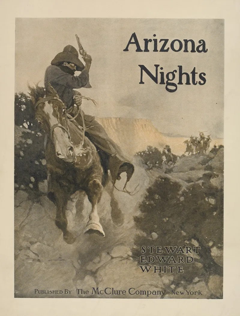 Arizona Nights Wall Art by Anonymous - High-Resolution Digital Print